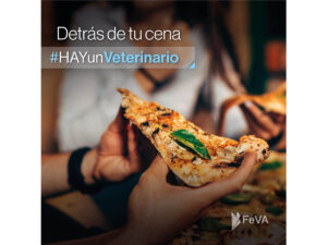 Feva 1