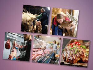 Veterinarios Detras De La Carne