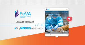 Feva Nota Patrocinada 22