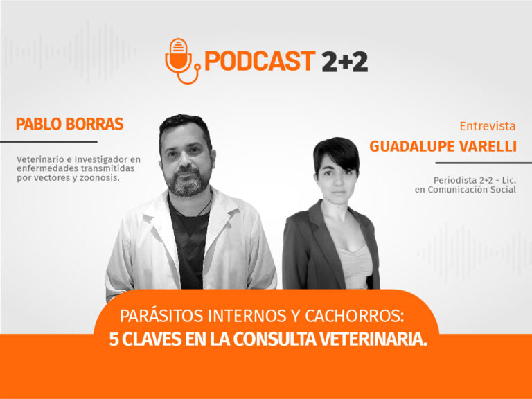 Agosto Nota 02