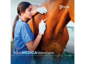 Feva Smv Storytelling Caballo 3
