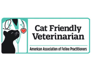 Cat Friendly