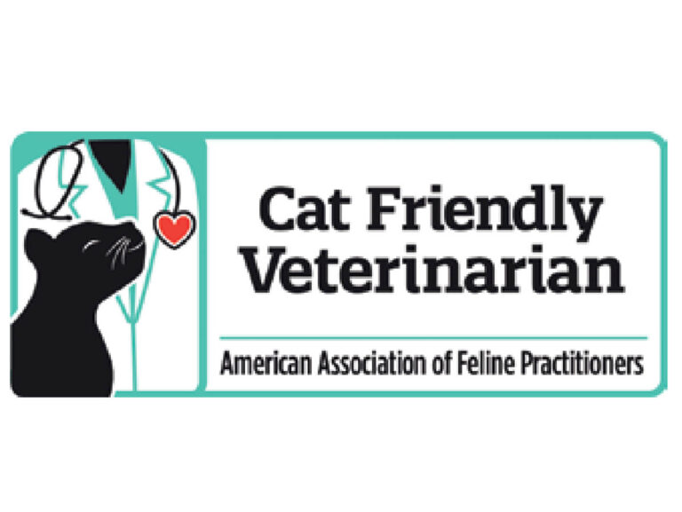 Cat Friendly