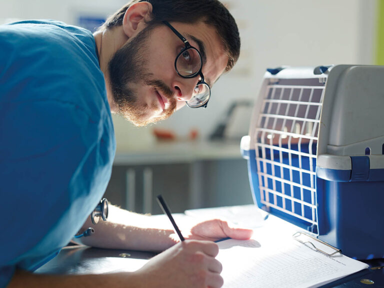 Checklist Para Saber Si Sos