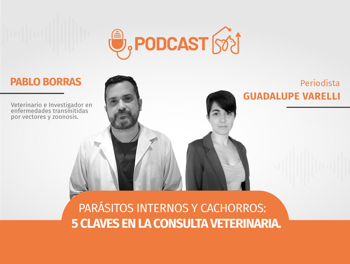 Parásitos internos y cachorros:  5 claves en la consulta veterinaria