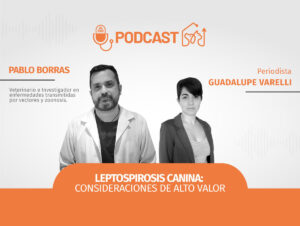 Leptospirosis Canina 1