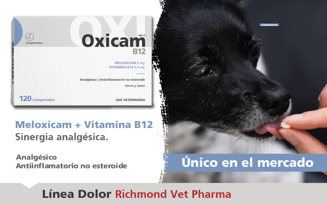 Richmond – 360Vet – Oxicam B12 – Marzo 2023 – PopUp