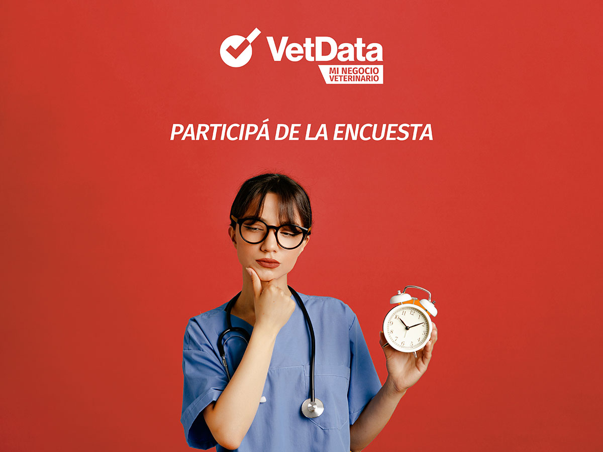 Encuesta: ¿Cuántas horas al día trabajan los veterinarios?
