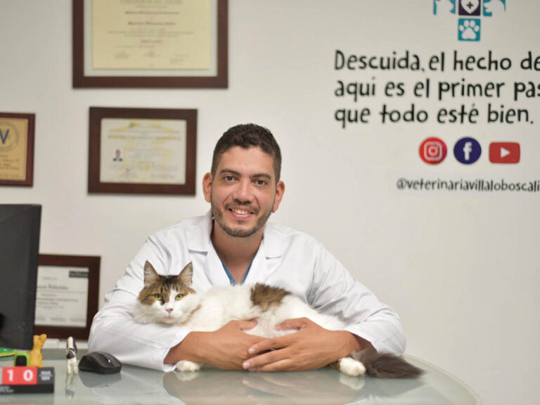 Mauricio