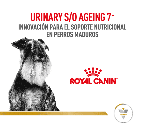 Royal Canin – 360 Vet – Urinary -Sept 2023 – Lat