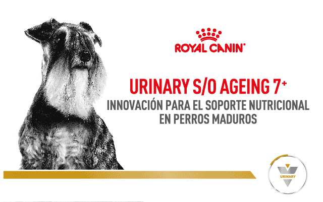 Royal Canin – 360 Vet – Urinary – Sept 2023 – Pop up
