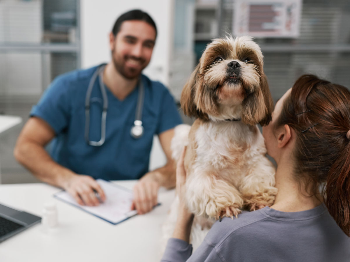 Habilidades blandas en veterinaria: 7 claves para nutrir la carrera profesional