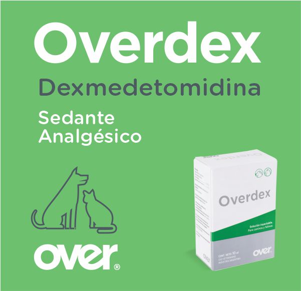 Over – 360 Vet – Overdex – Abril 2024 – Lateral