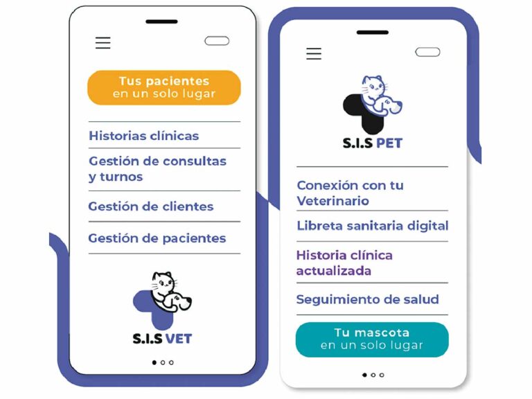 mnVet Revista Notas 11