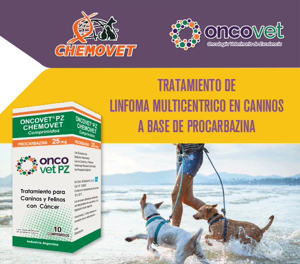 CHEMOVET – 360 – SEP OCT – LAT
