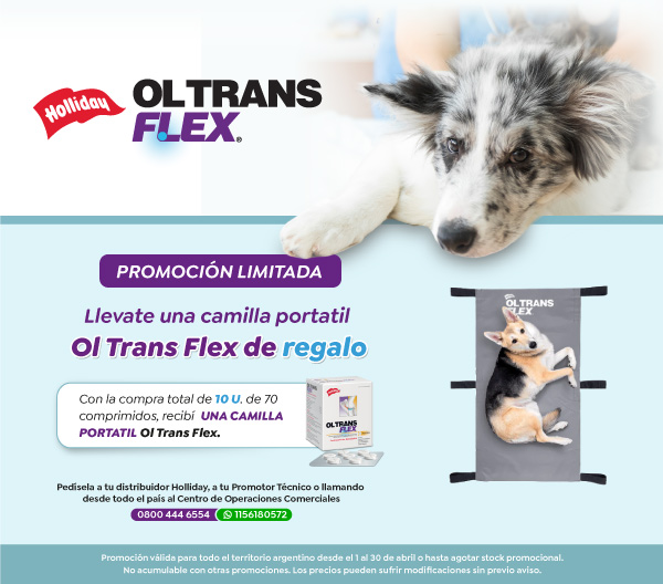 HOLLIDAY – 360 – LATERAL – ABR