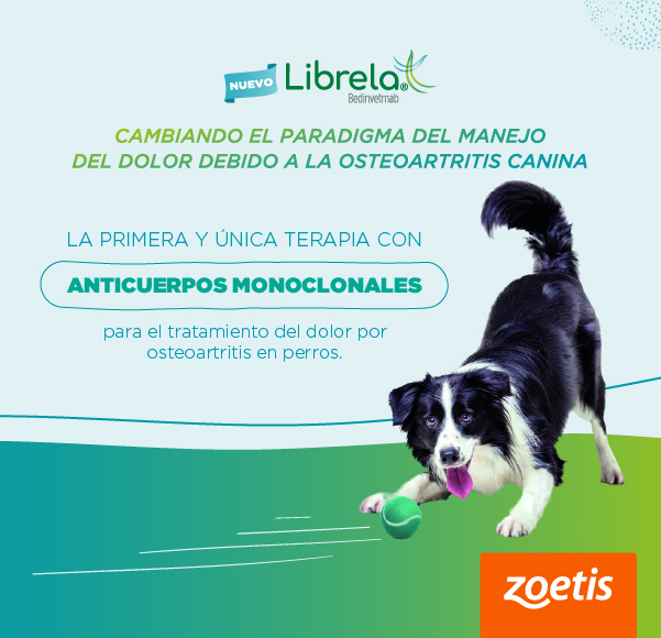 LAT – ZOETIS – JUL