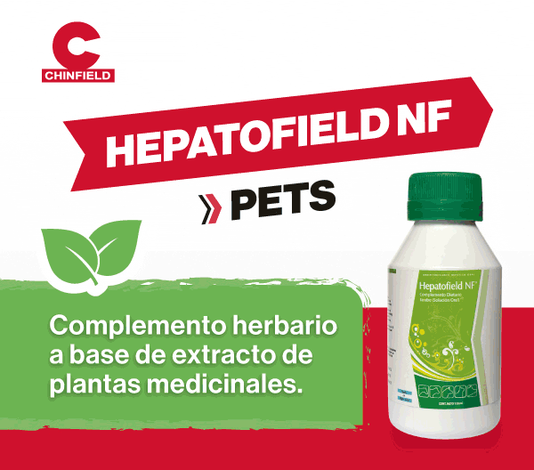 LAT 4 – CHINFIELD – JUN