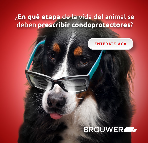 LAT – BROUWER – JUN