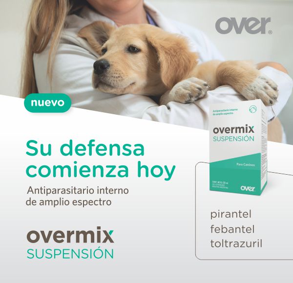 LAT – OVER – JUN