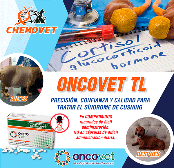 LAT – CHEMOVET – JUL – AGO