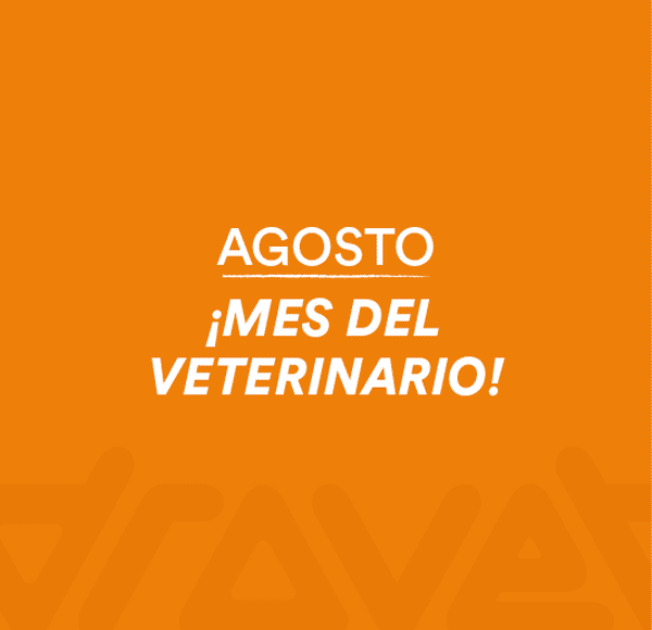 LAT – DROVET – AGO