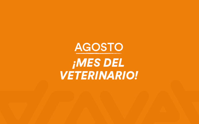 POP UP – DROVET – AGO