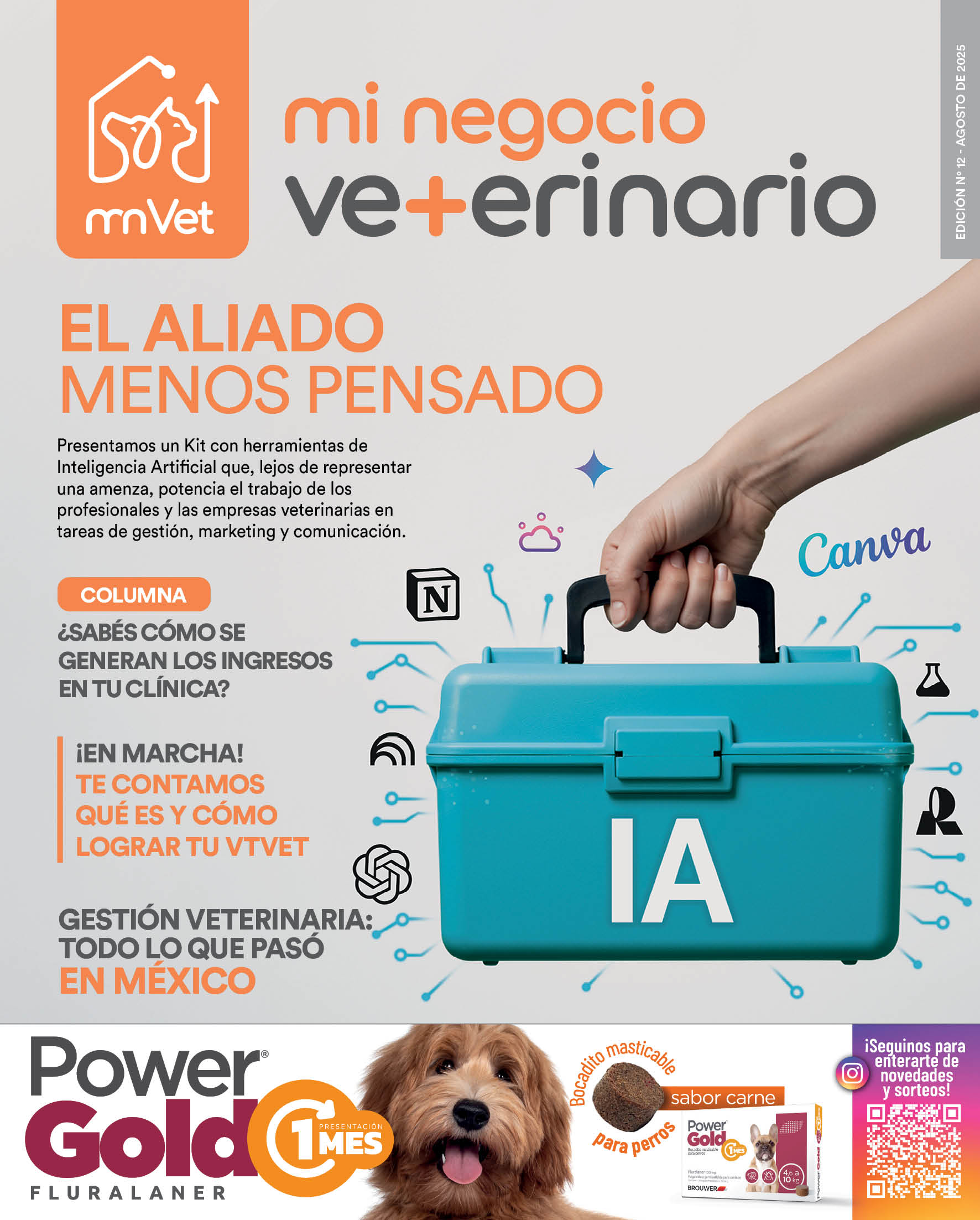 Edición N° 12 – Agosto de 2025