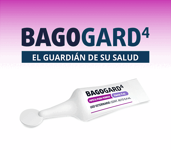 LAT – BIO – AGO