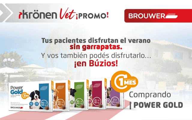 POP UP – KRONEN – AGO