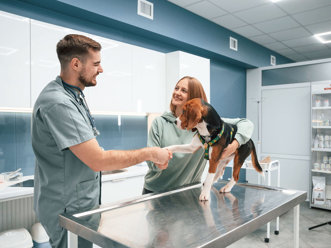 5 ideas para que los clientes sigan eligiendo tu veterinaria
