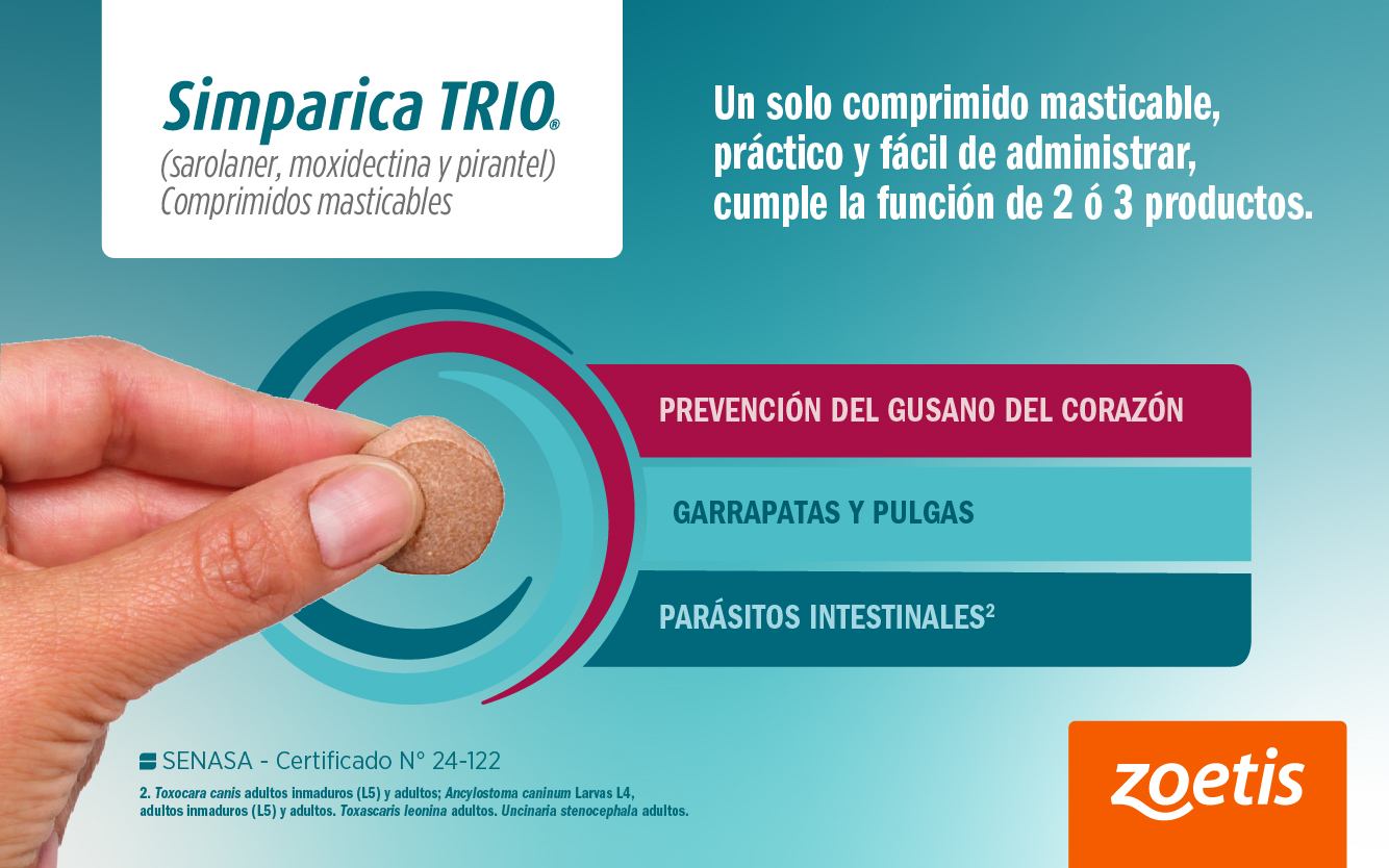 POP UP – ZOETIS – AGO