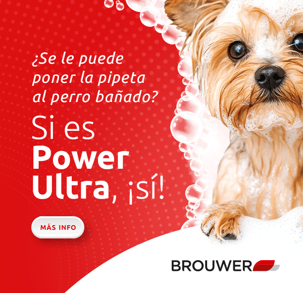 LAT – BROUWER – SEP