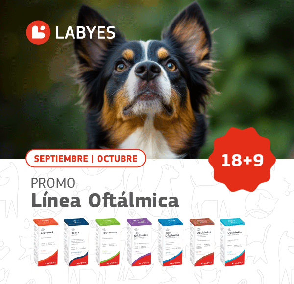 LAT – LABYES – SEP