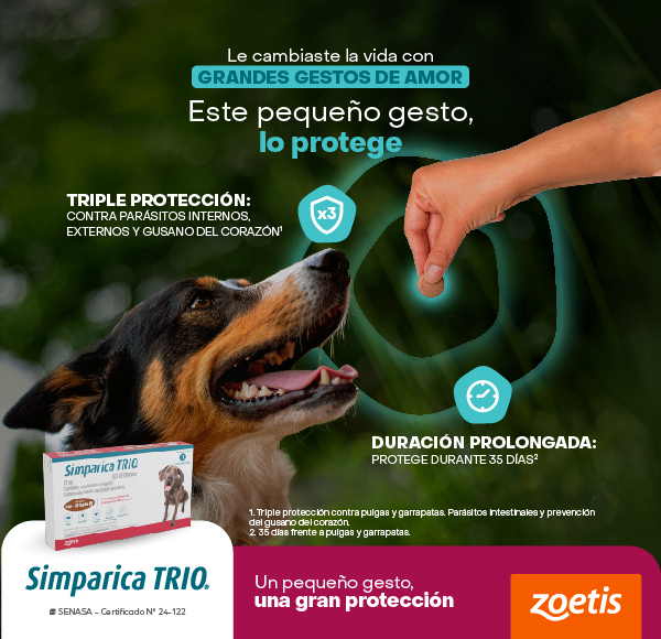 LAT – ZOETIS – OCT