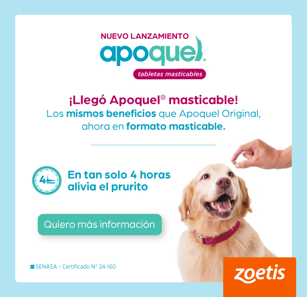 LAT – ZOETIS – SEP