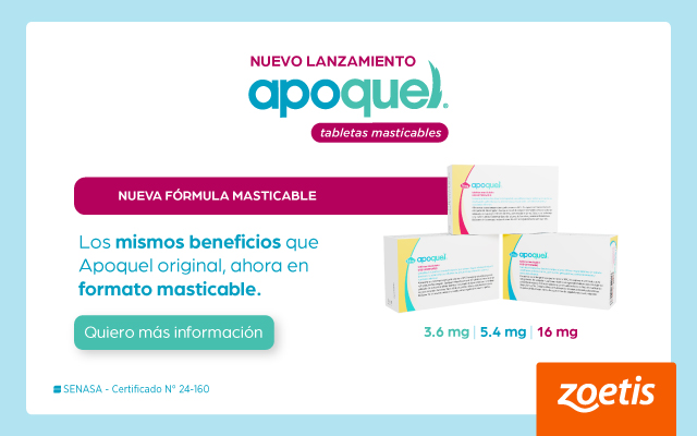 POP UP – ZOETIS – SEP