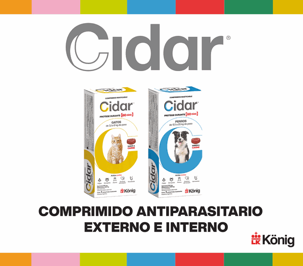 LAT – KONIG – SEP