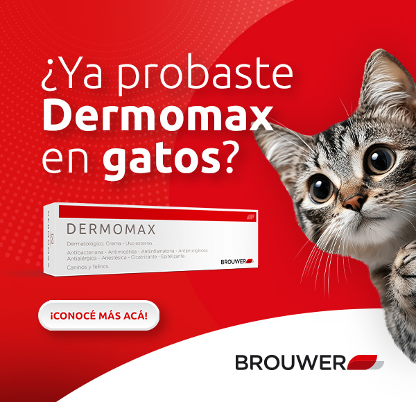 LAT – BROUWER – SEP 2