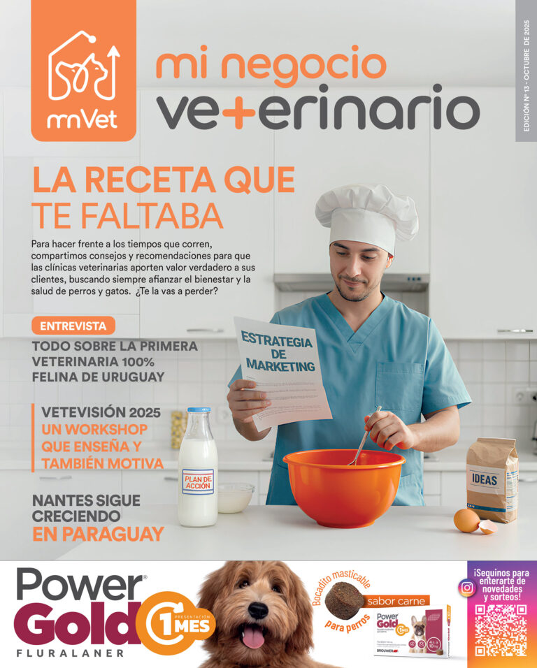 Edición N° 13 – Octubre De 2025