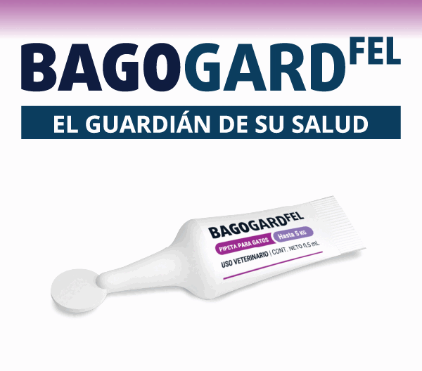 LAT – BIO – OCT