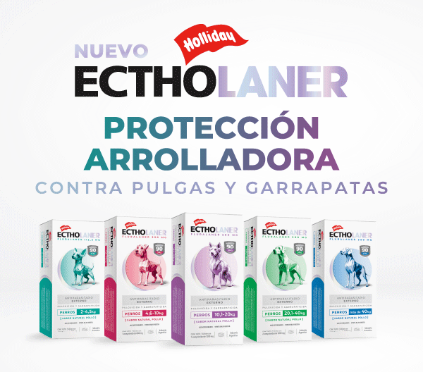 LAT – HOLLIDAY – OCT