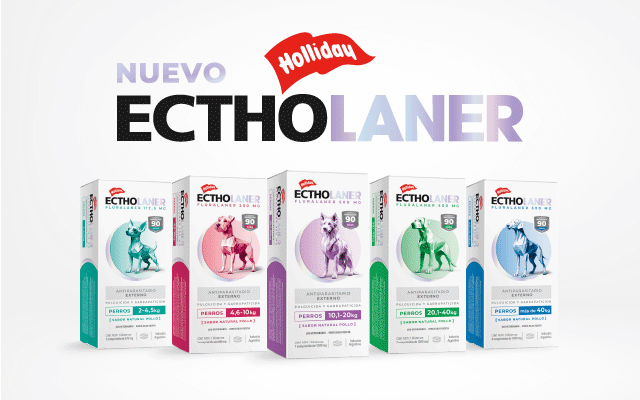 POP UP – HOLLIDAY – OCT