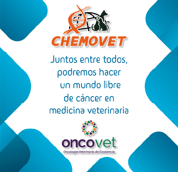 MR – CHEMOVET – ABR