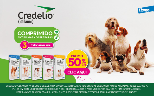 POP UP – SUIZO – OCT