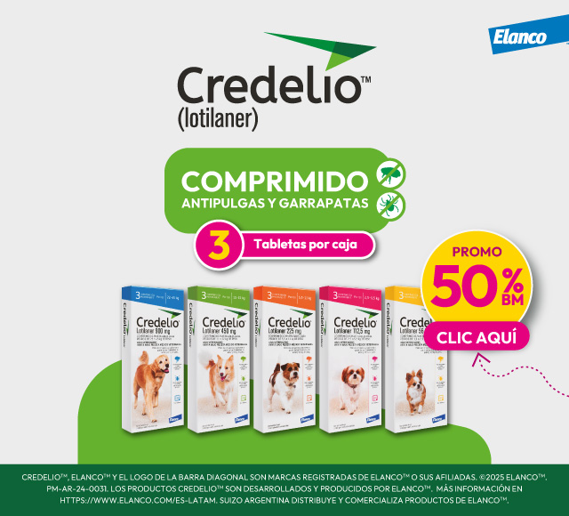 LAT – SUIZO – OCT