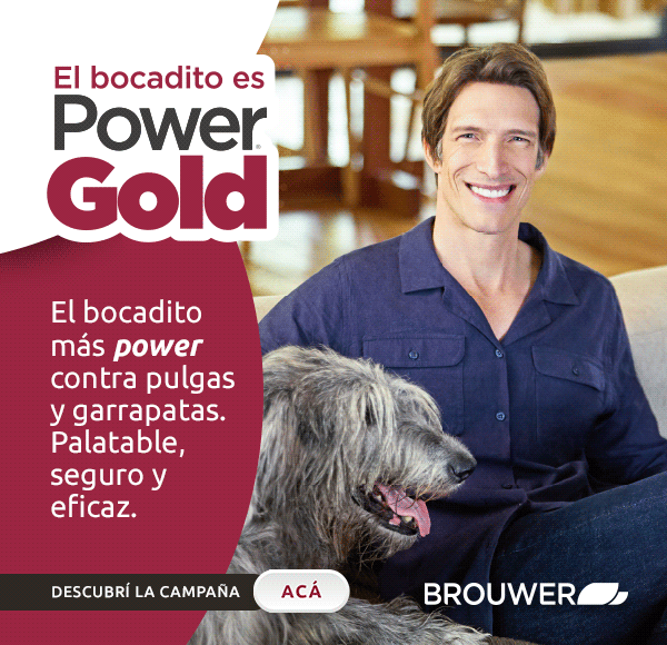 LAT – BROUWER – NOV