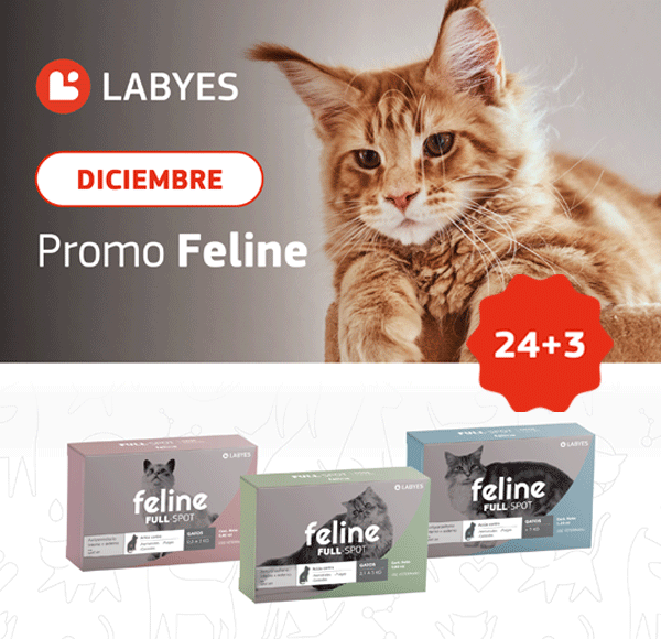 LAT – LABYES – DIC