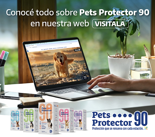 CEVA – LAT – DIC