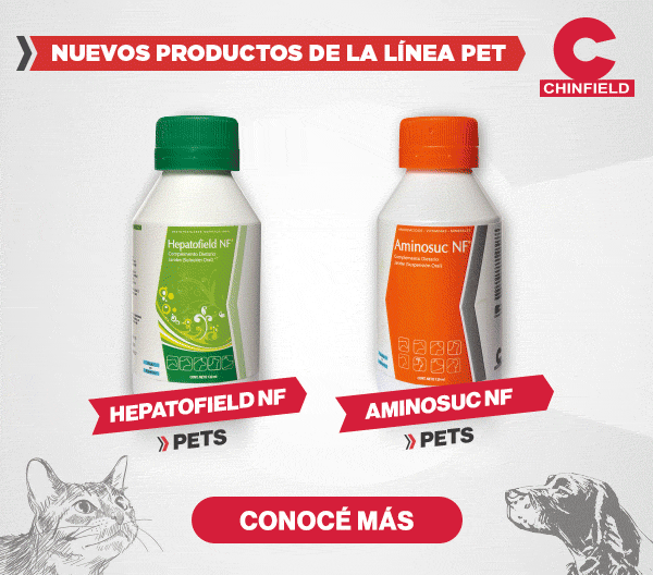 LAT – CHINFIELD – DIC